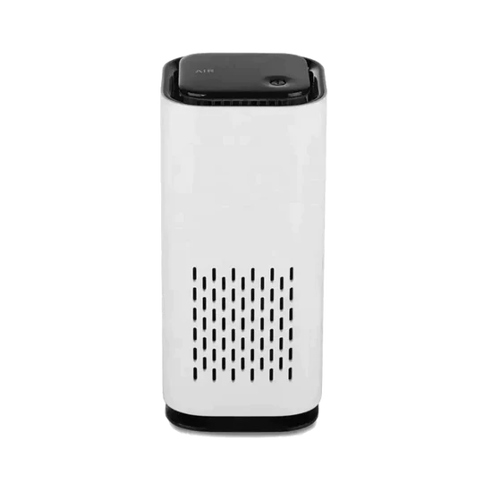 Effective Pet Odour Remover for Fresh Homes