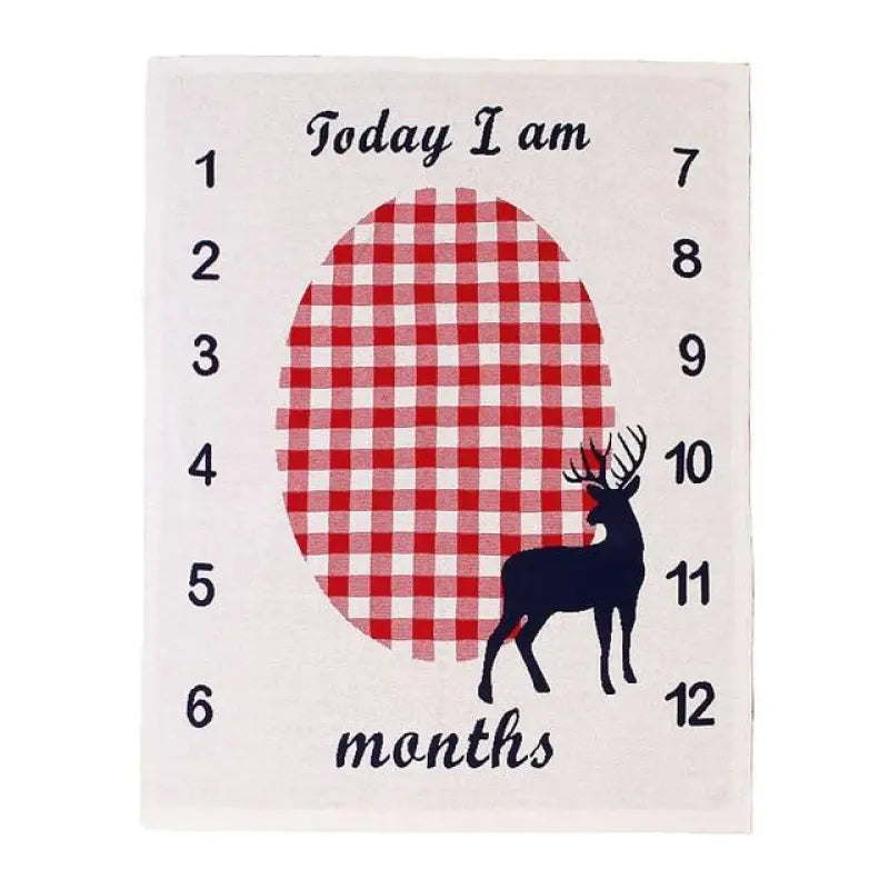 Personalized Baby Photo Blanket with Monthly Markers