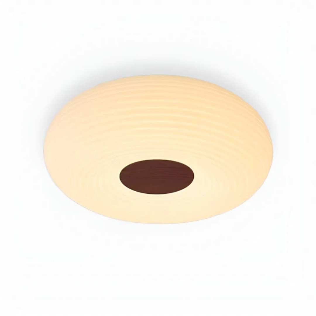 Stylish LED Ceiling Fixture