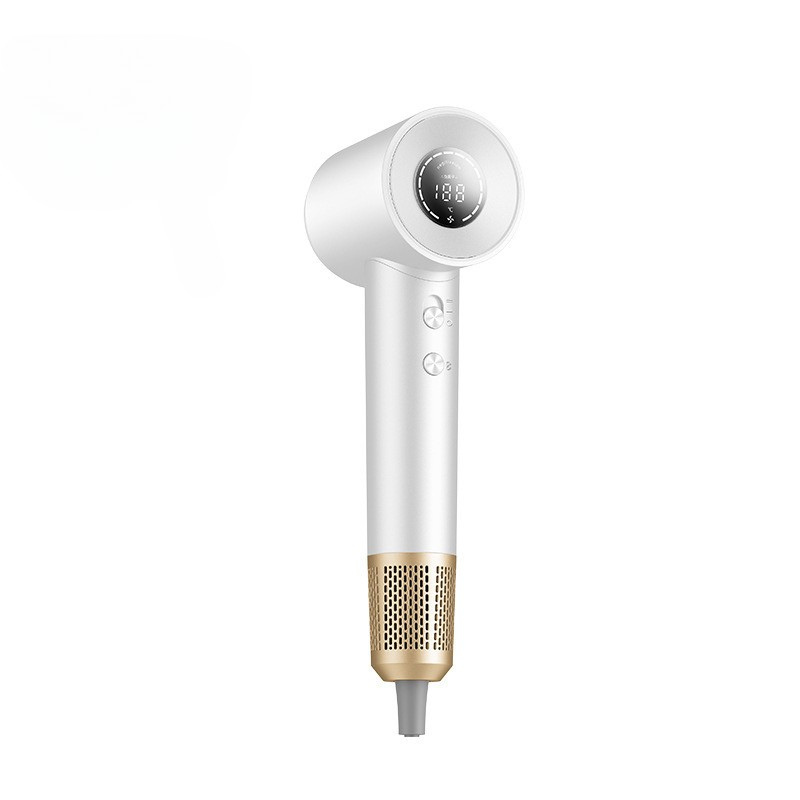 Fast Ionic Salon Hair Dryer