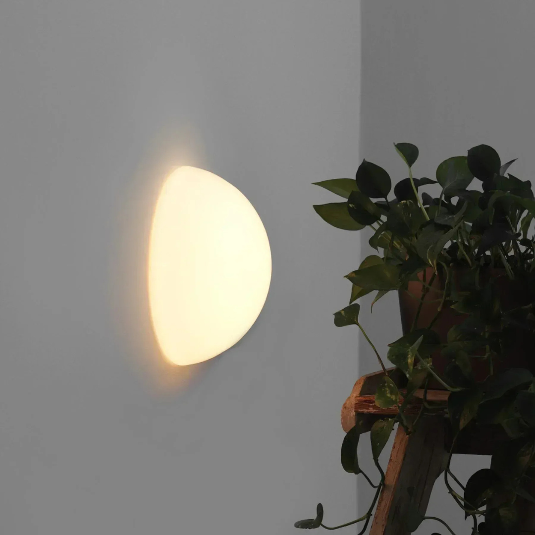 Contemporary LED Outdoor Indoor Wall Light