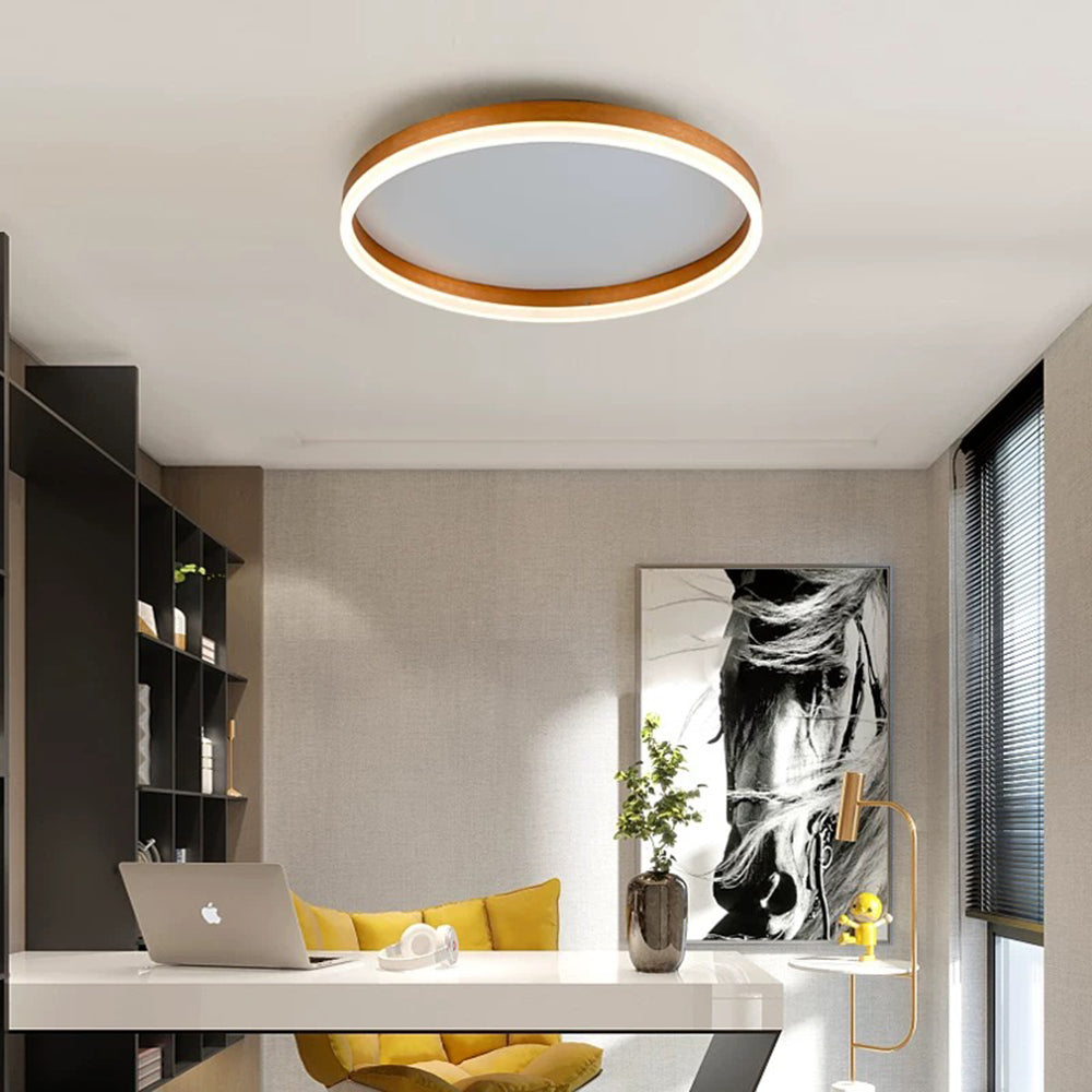Modern Slim LED Ceiling Light