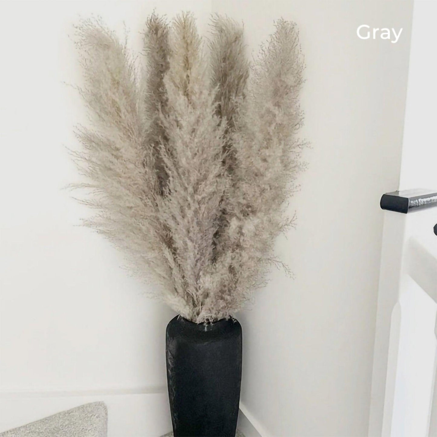Natural Dried Pampas Grass Decor Bundle with Feathers