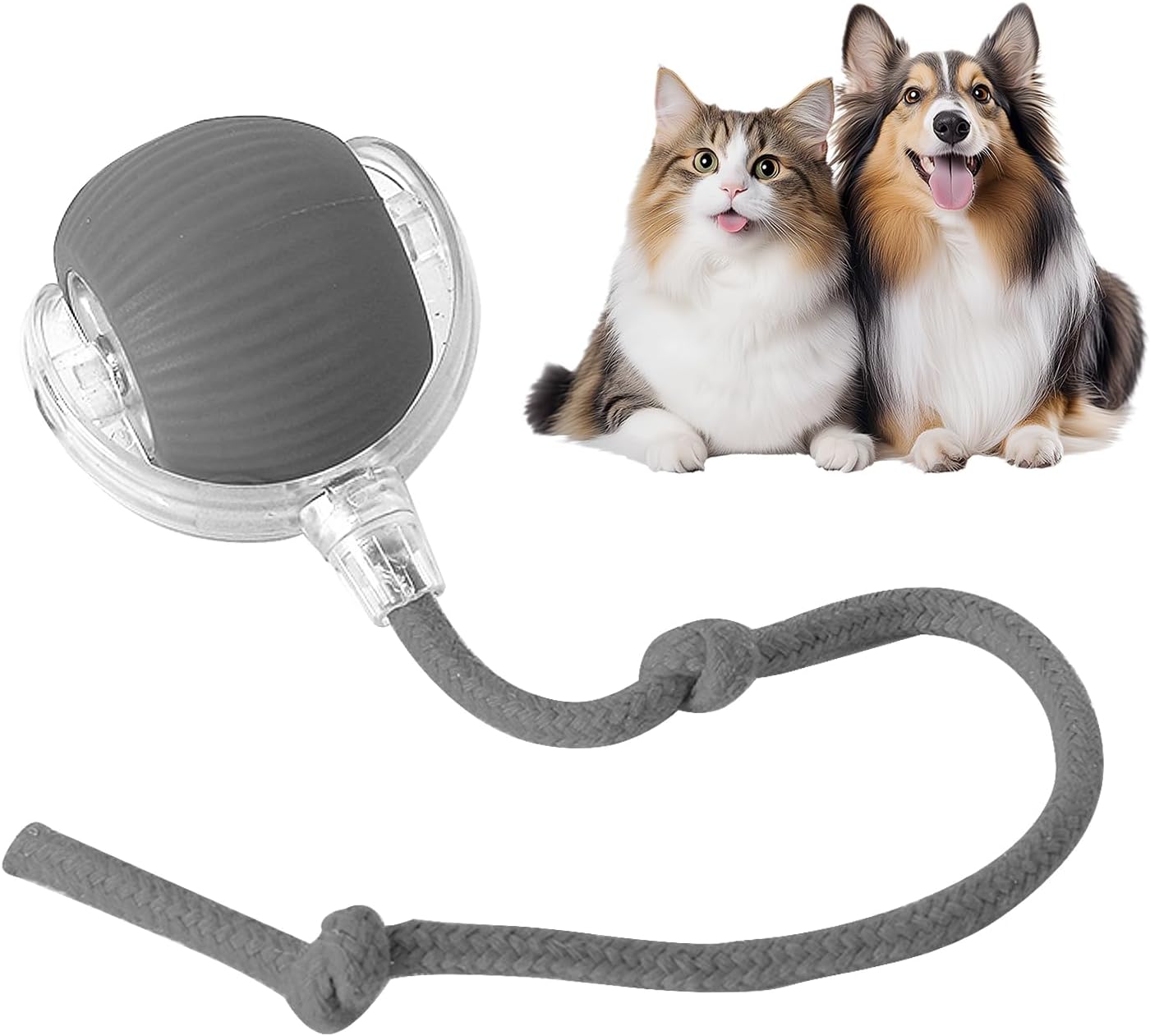 Fun Interactive Pet Ball Toys