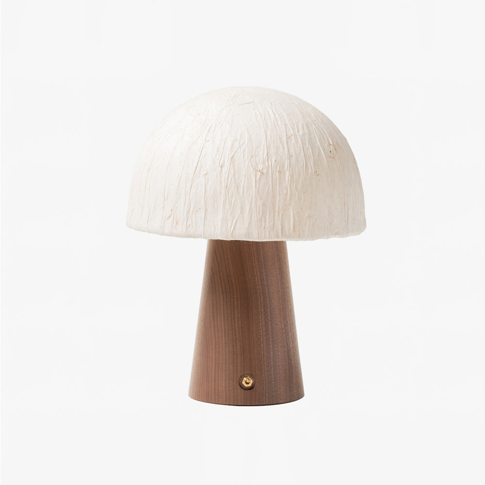 Fun Desk Lamp with Soft Warm Glow