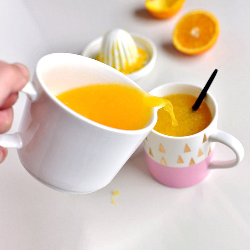 Easy Manual Citrus Squeezer for Fresh Juice Extraction