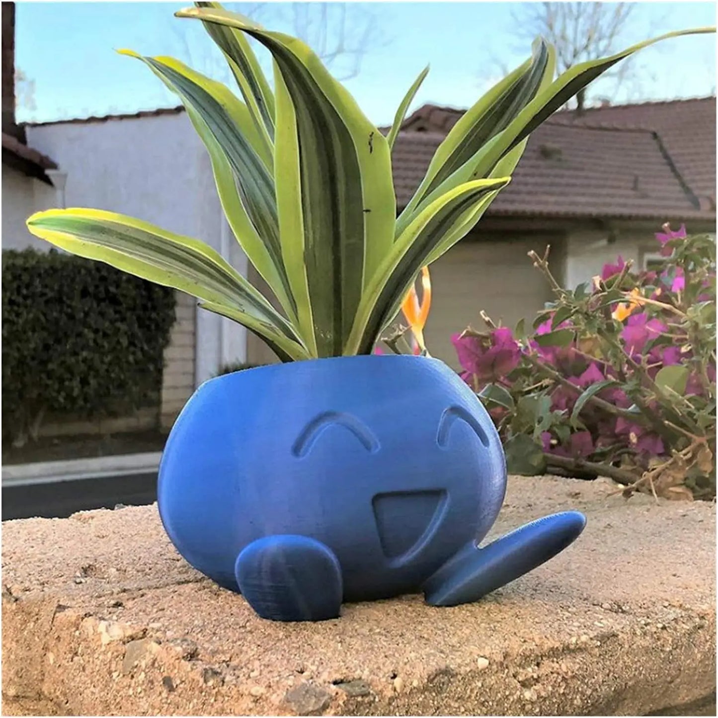 Fun Succulent Pot Planter