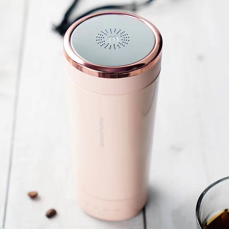 Compact Fast Stainless Steel Electric Kettle