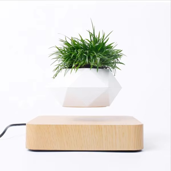 Unique Floating Bonsai Pot for Home Decor