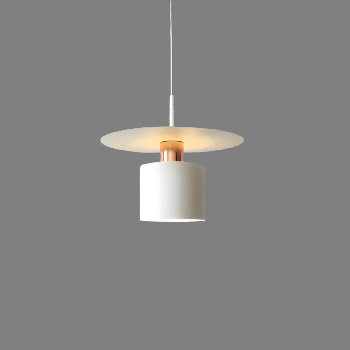 Modern Hanging Pendant Lamp