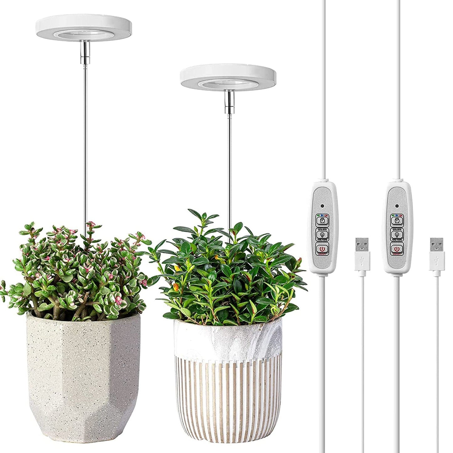 Lumosphere | Versatile Full Spectrum LED Grow Light for Indoor Plants 1