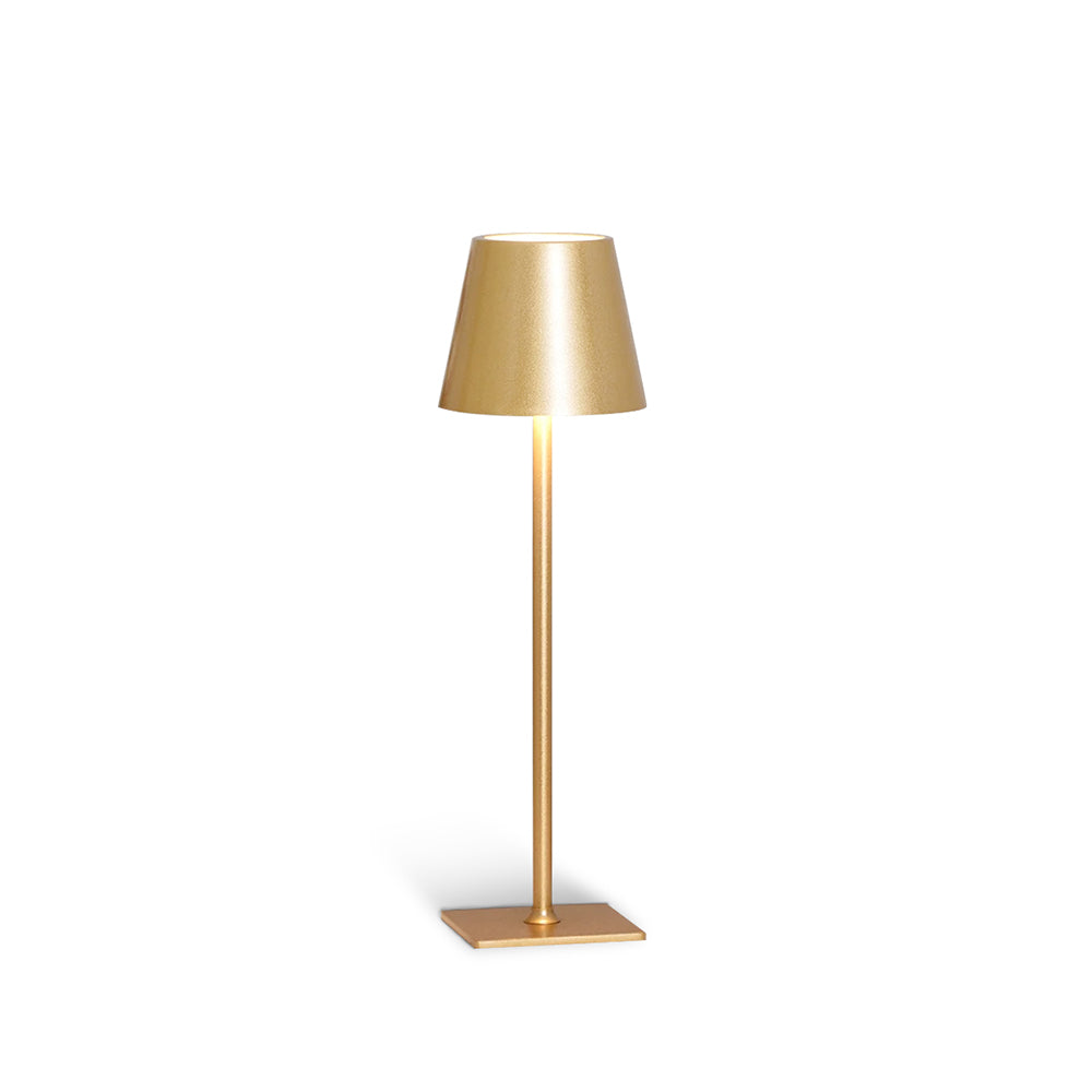 Stylish LED Desk Lamp with USB Charger