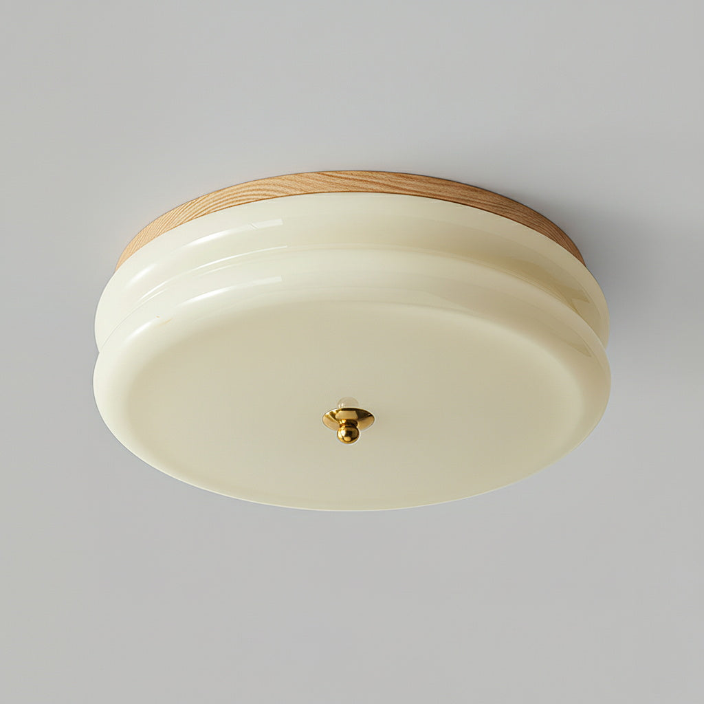 RowenWood | Elegant Modern Flush Mount Ceiling Light with Glass Shade 11
