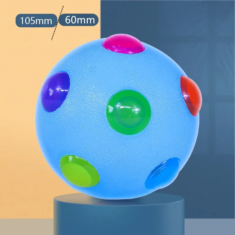 Fun Pet Glow Ball Toy with LED Light