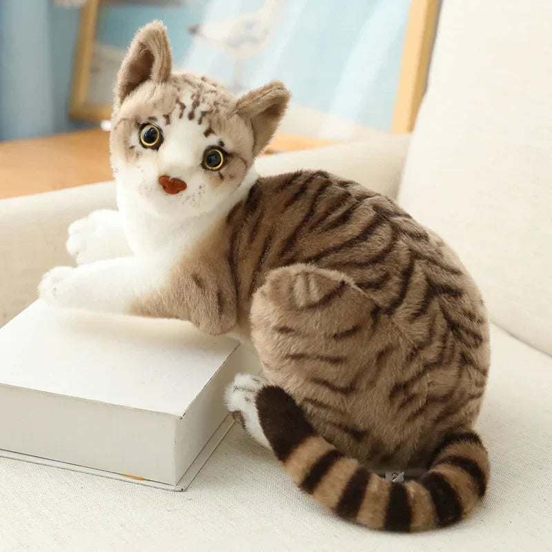 Cuddly Cat Plush Toy – Plush Kitten Friend