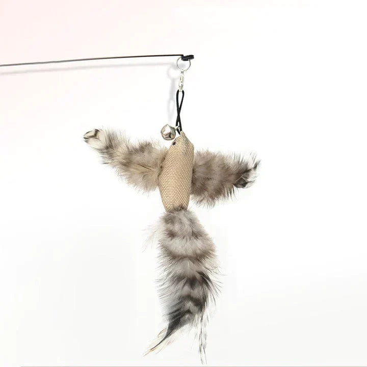 Fun Pet Toy - Interactive Feather Bird Teaser