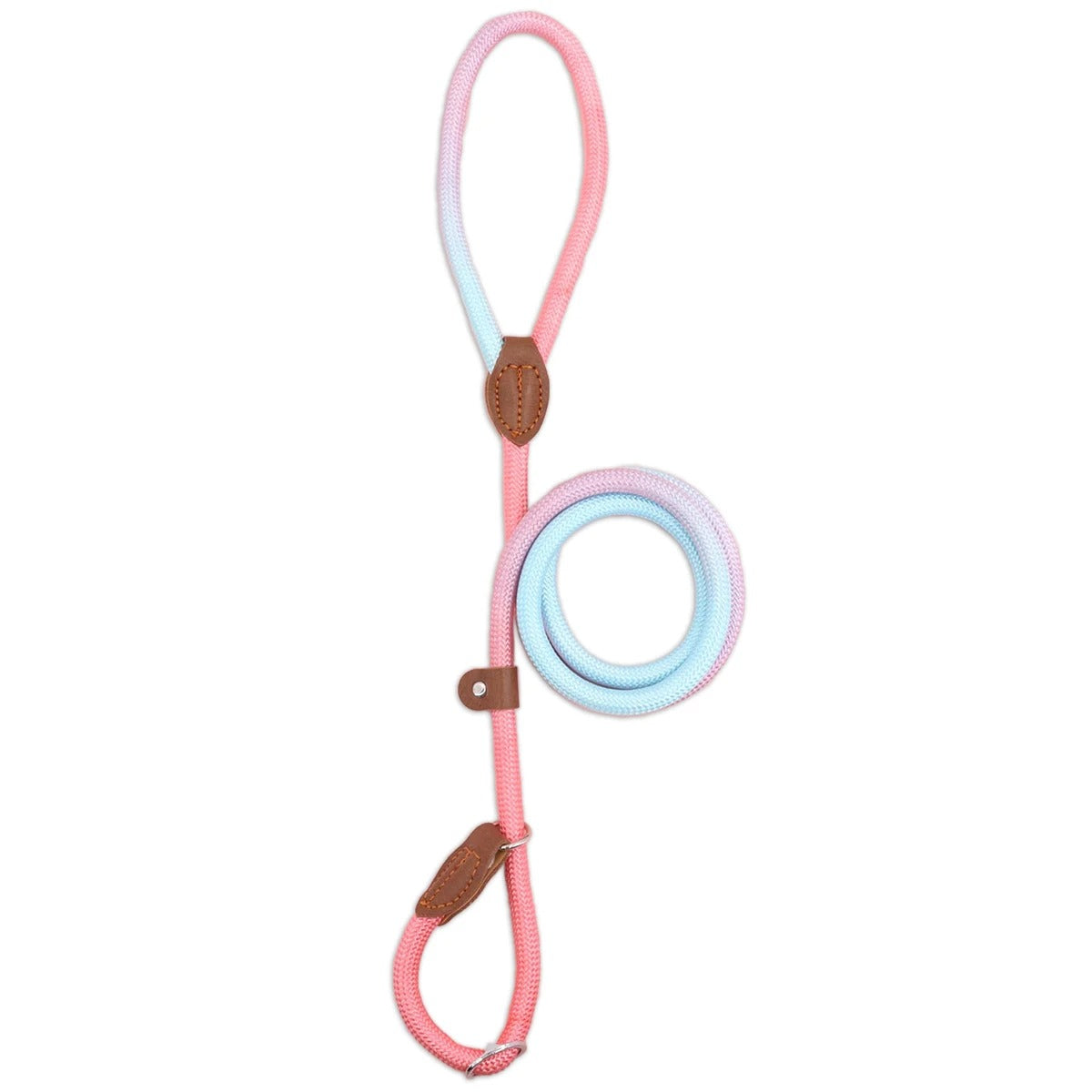 Vibrant Pet Leash for Fashionable Dog Walking