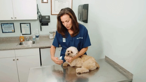 Safe Pet Nail Trimmers with Easy Sensors