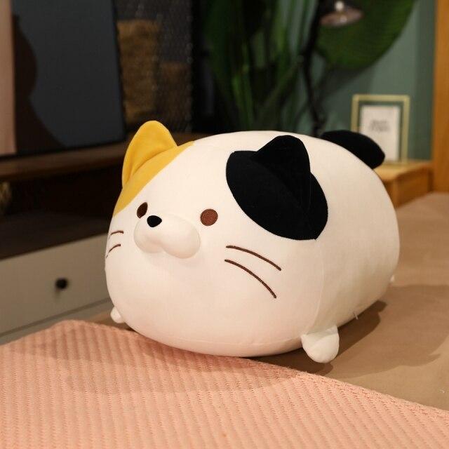 Funny Cat Lover Gift