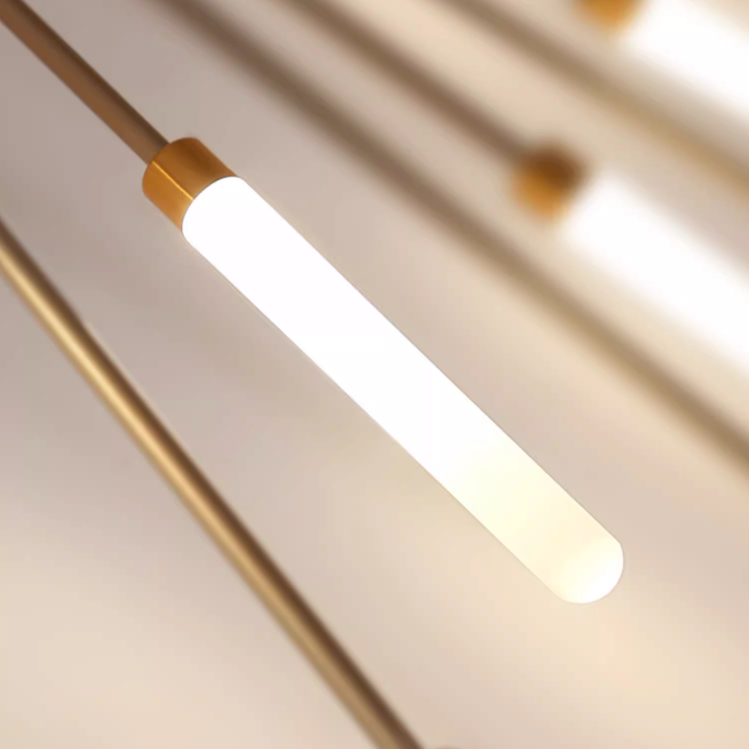 Stylish LED Chandelier Light Fixture