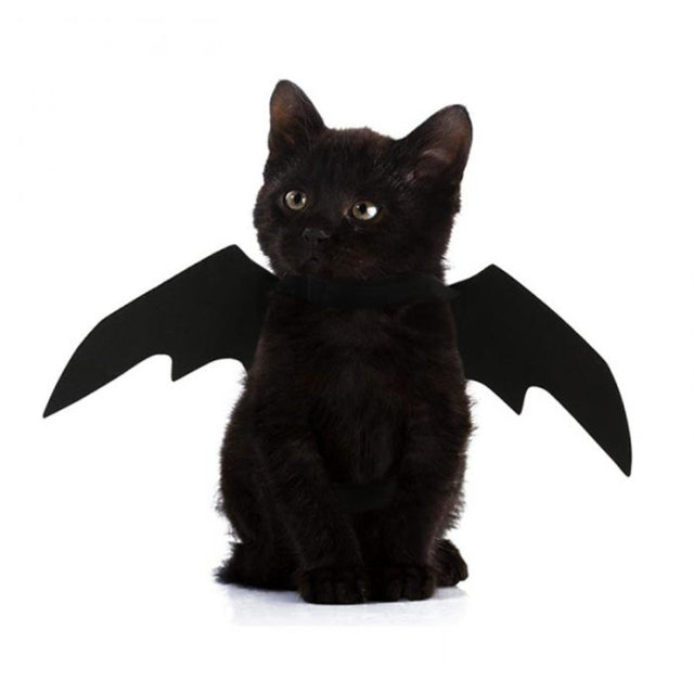 Cute Pet Bat Wing Costume - Fesara