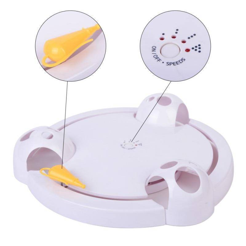 Fun Pet Toy - Auto Spinning Mouse Chase Game