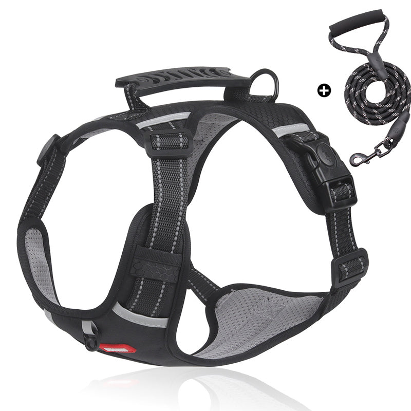 Safe Visible Pet Harness