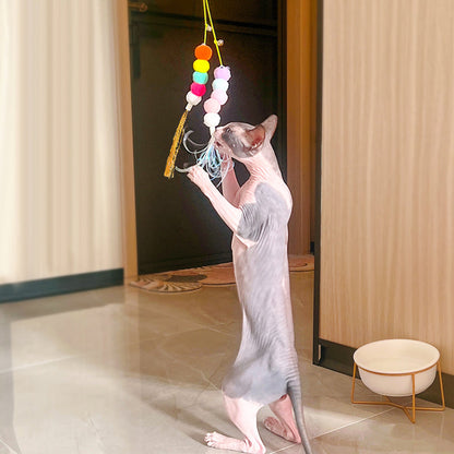 Fun Interactive Hanging Cat Toy