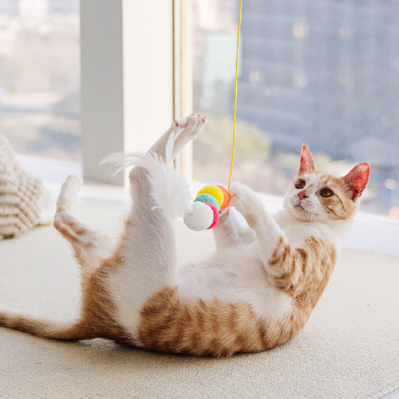 Fun Interactive Hanging Cat Toy