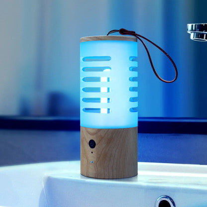 Compact UV Sanitizer Lamp for Home and Car Use