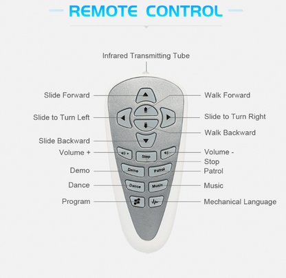 Smart Remote Control Robot Toy
