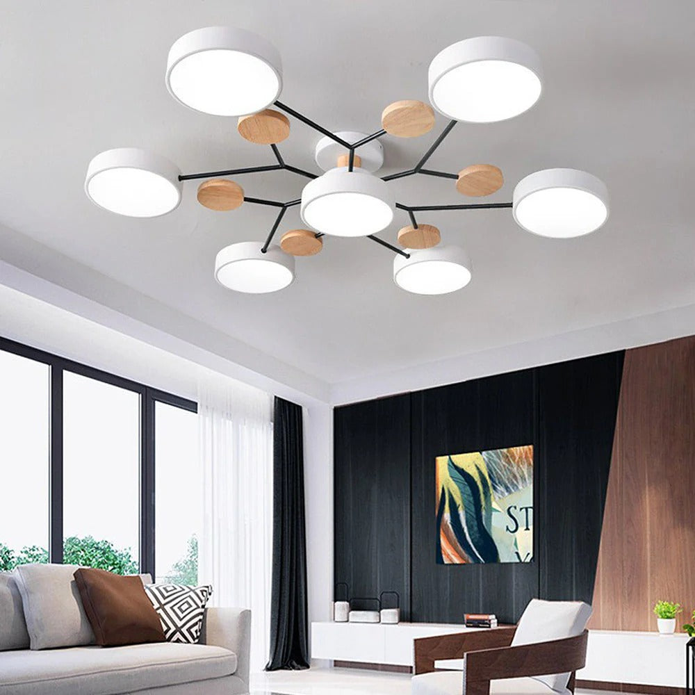 Sleek LED Ceiling Fixture Home Lighting