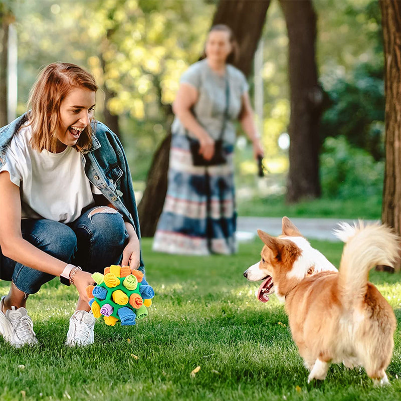 Fesara | Interactive Pet Play Ball