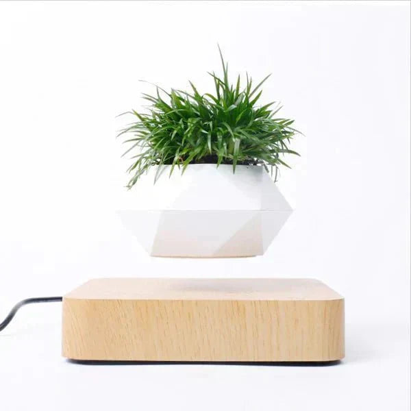 Unique Floating Plant Decor - Fesara