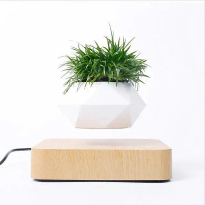 Unique Floating Plant Decor - Fesara
