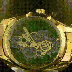 Precise Self-Winding Mechanical Watch