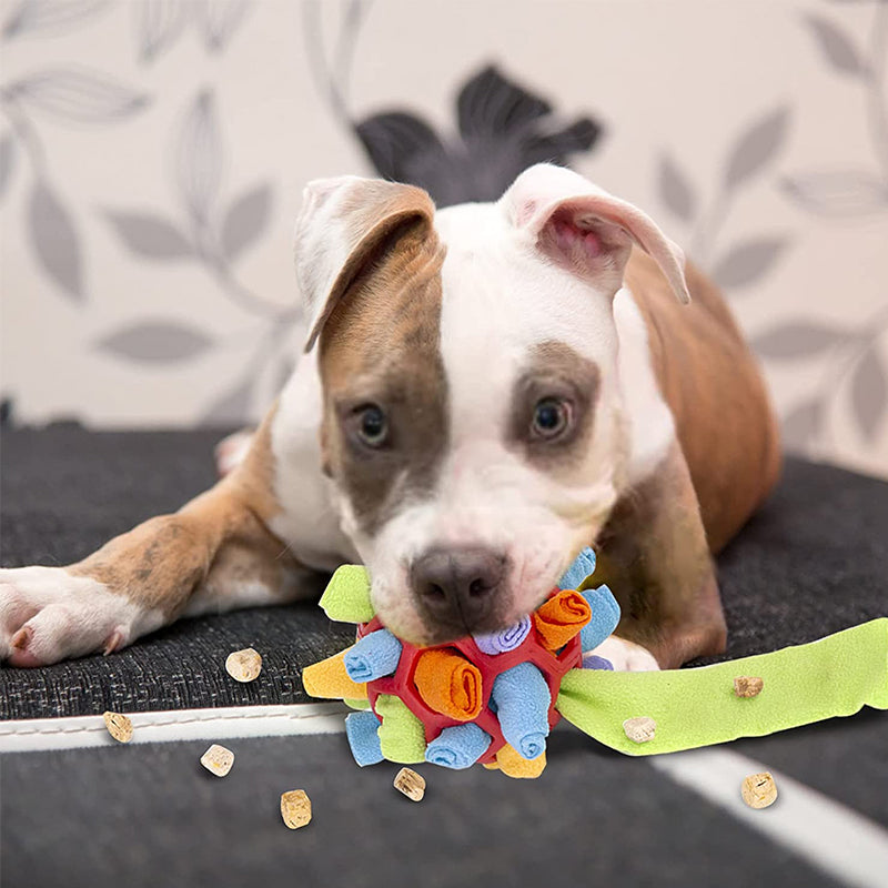 Fesara | Interactive Pet Play Ball
