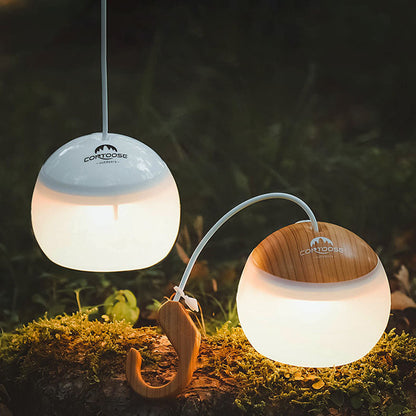 Compact USB Powered LED Camp Lantern Light