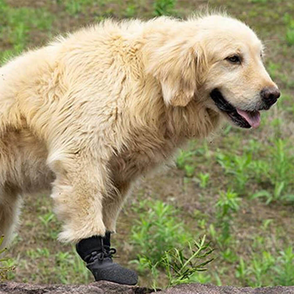 Waterproof Hiking Dog Boots for Running