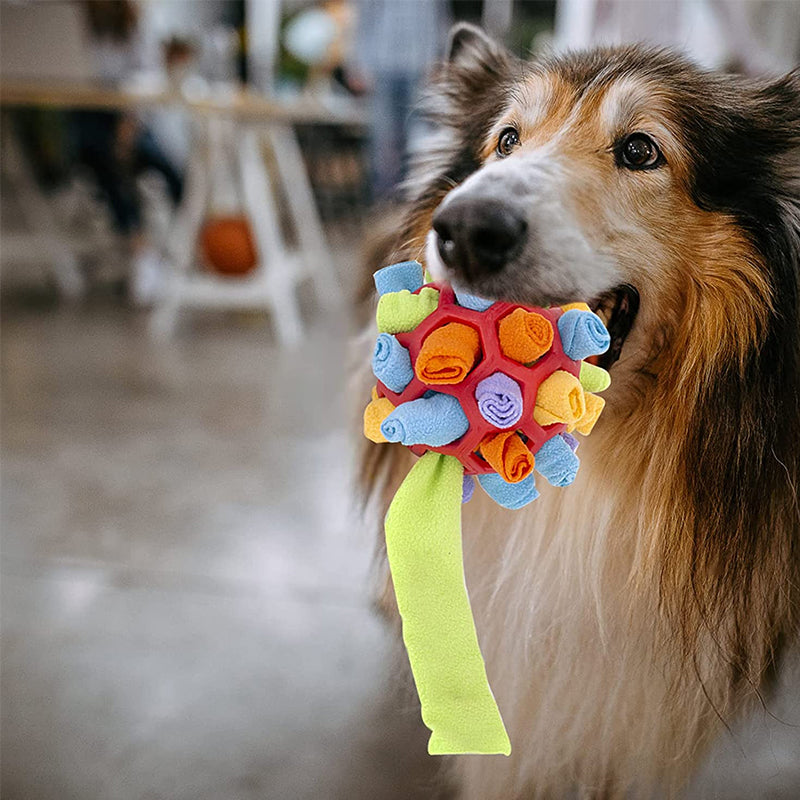 Fesara | Interactive Pet Play Ball