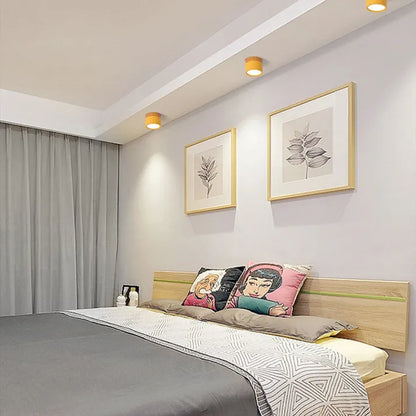 Simple Modern LED Ceiling Lamp