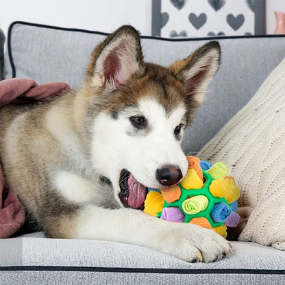 Fesara | Interactive Pet Play Ball