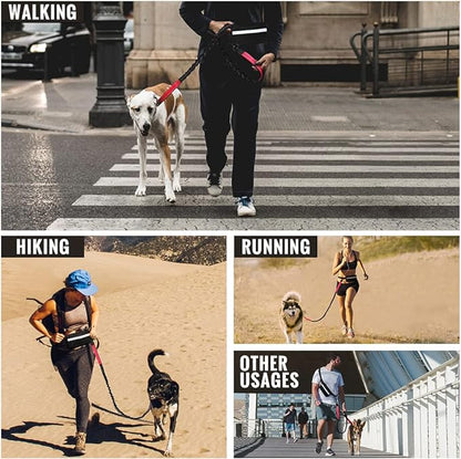 Easy Walk Dog Harness