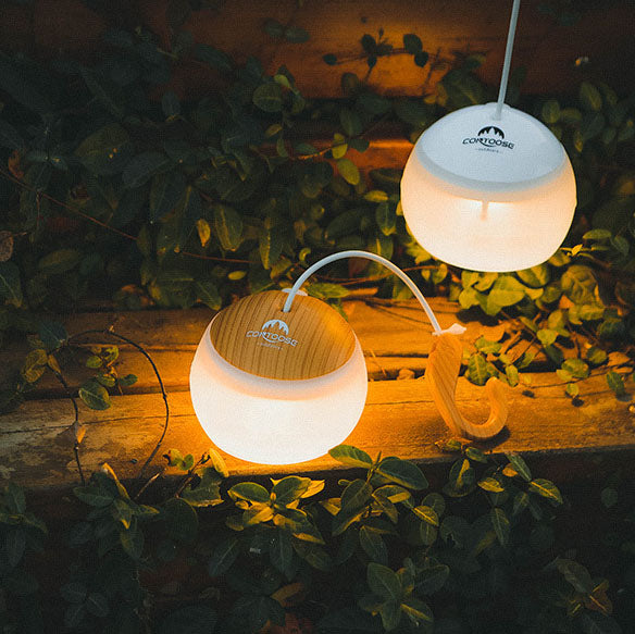 Compact USB Powered LED Camp Lantern Light