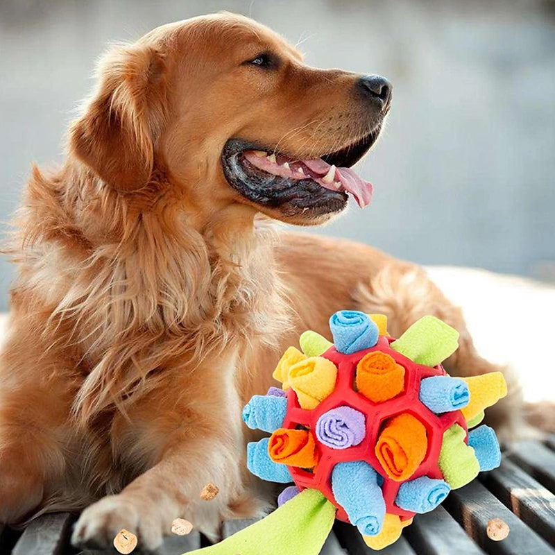 Fesara | Interactive Pet Play Ball