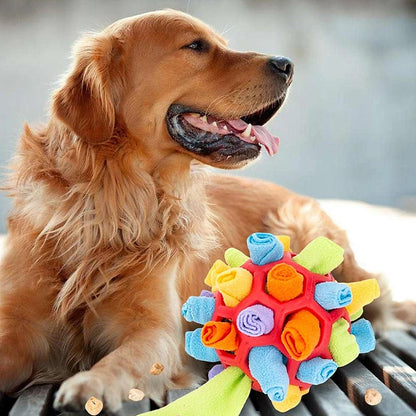 Fesara | Interactive Pet Play Ball