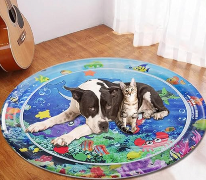 Fun Cat Interactive Toy