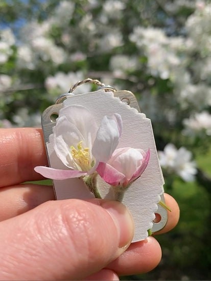 Fresh Flower Preservation Kit