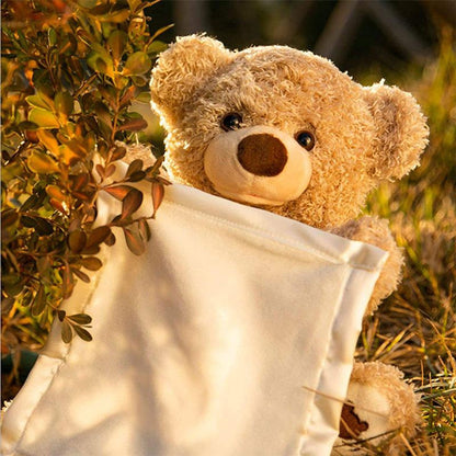 Soft Play Peek a Boo Teddy Bear