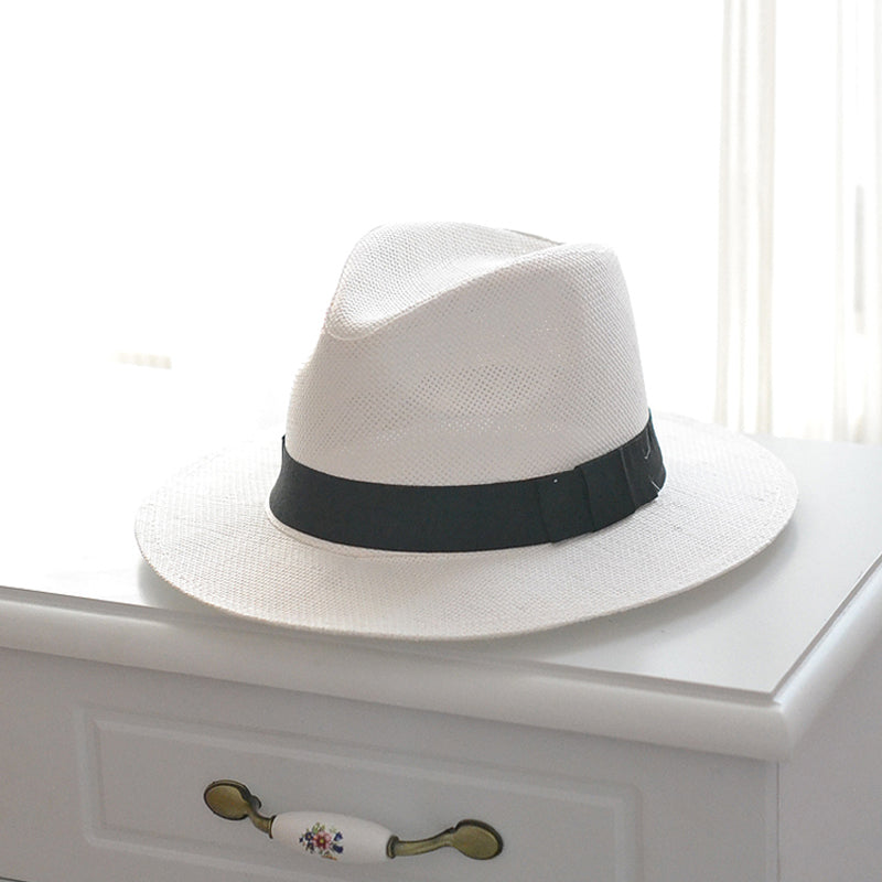 Stylish Large Brim Summer Hat